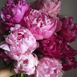 Meet your Posher, Wendy